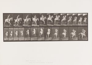 Plaat 647. Over een Hek Springend; Zonder Zadel; Ruiter door Eadweard Muybridge