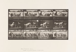 Plaat 651.A, Klokluiden; B, Wipplank; C, Militaire Oefening door Eadweard Muybridge