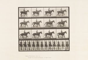 Plaat 655. Lopen; Zadel; Spat, rechter achterbeen; Paard door Eadweard Muybridge