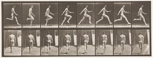 Rennen op volle snelheid door Eadweard Muybridge