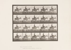 Plaat 666. Ezel; Lopend; Zadel; Een Meisje Rijdend, Dierentuin door Eadweard Muybridge