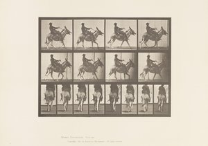 Plaat 668. Ezel; Tred; Zadel; Een Jongen Rijdt, Dierentuin door Eadweard Muybridge