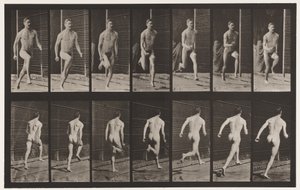 Plaat 66. Rennen door Eadweard Muybridge