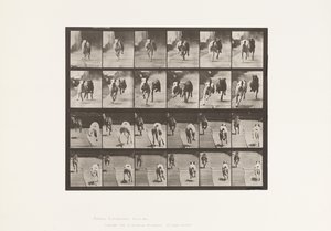 Plaat 711. Honden; Twee racend; A, B; Racehonden, Ike & Maggie door Eadweard Muybridge