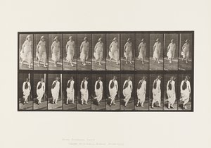 Plaat 71. Rennen, 1885 door Eadweard Muybridge
