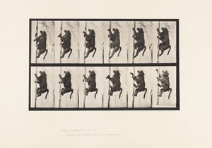 Plaat 749. Baviaan; Klimt op een paal door Eadweard Muybridge