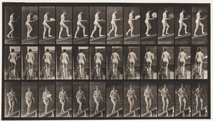 Plaat 78. Helling oplopen, met een waaier flirten, 1872-1885 door Eadweard Muybridge