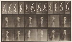 Plaat 79. Helling Beklimmen door Eadweard Muybridge