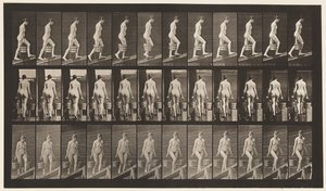 Plaat 81. Helling Beklimmen door Eadweard Muybridge