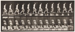 Plaat 83. Helling Beklimmen, Emmer Water in Rechterhand door Eadweard Muybridge