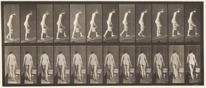Plaat 84. Helling op, emmer water in rechterhand door Eadweard Muybridge