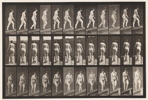 Helling oplopen door Eadweard Muybridge