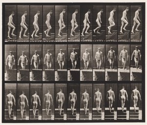 Trap oplopen door Eadweard Muybridge
