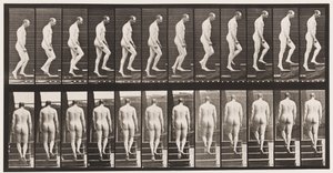 Plaat 89. Trappen oplopen door Eadweard Muybridge