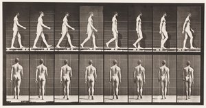 Plaat 8. Lopen door Eadweard Muybridge