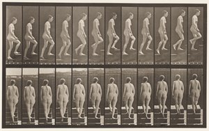 Plaat 92. Trap Beklimmen door Eadweard Muybridge
