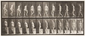 Omdraaien en trap oplopen door Eadweard Muybridge