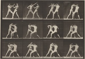 Plaat nummer 340. Boksen, open hand (schoenen),1887 (foto) door Eadweard Muybridge