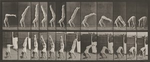 Plaat nummer 371. Acrobat, verticaal "omhoog drukken",1887 (foto) door Eadweard Muybridge