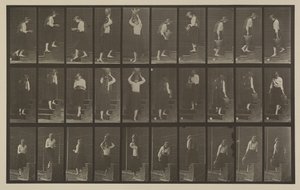 Plaat nummer 504. Op- en aflopende trappen door Eadweard Muybridge