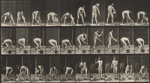 Plaat nummer 506. Metselen,1887 (foto) door Eadweard Muybridge