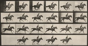  door Eadweard Muybridge
