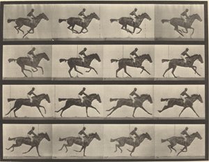 Plaat nummer 626. Galop, volbloed bruine merrie, Annie G. door Eadweard Muybridge