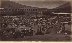 Plaza en paleis van de onderkoning-Antigua de Guatemala,1877 (foto) door Eadweard Muybridge