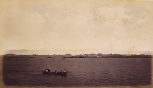 Punta Arenas, Costa Rica door Eadweard Muybridge