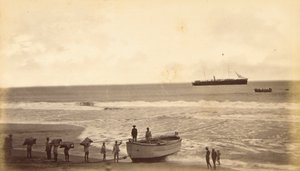 Scheepskoffie, Champerico, Guatemala door Eadweard Muybridge
