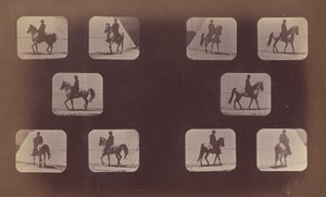 Studies van Verkortingen. Paarden. Lopen. Mahomet. Nrs. 119-120 door Eadweard Muybridge