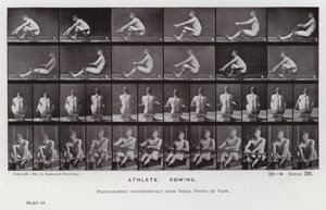 De menselijke figuur in beweging: Atleet, roeien door Eadweard Muybridge