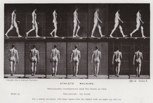 De menselijke figuur in beweging: Atleet, wandelend door Eadweard Muybridge