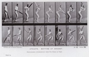 De menselijke figuur in beweging: Atleet, batten bij cricket door Eadweard Muybridge