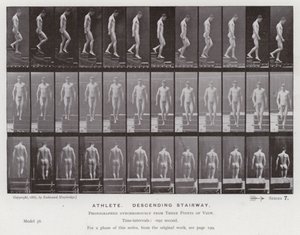 Het menselijk lichaam in beweging: Atleet, daalt een trap af (zwart-wit foto) door Eadweard Muybridge