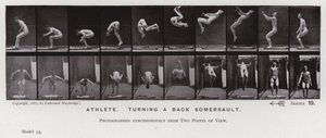 Het menselijk lichaam in beweging: Atleet, maakt een achterwaartse salto (zwart-wit foto) door Eadweard Muybridge