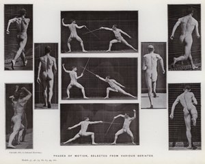 De menselijke figuur in beweging: Fasen van beweging, geselecteerd uit verschillende series door Eadweard Muybridge