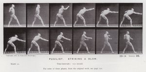 De menselijke figuur in beweging: Bokser, een slag toebrengend door Eadweard Muybridge