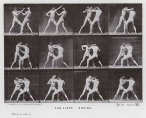 De menselijke figuur in beweging: Boksers, boksen door Eadweard Muybridge
