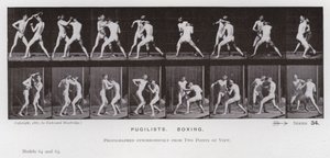 De menselijke figuur in beweging: Boksers, boksen door Eadweard Muybridge