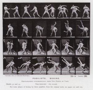 Het Menselijk Lichaam in Beweging: Pugilisten, Boksen door Eadweard Muybridge