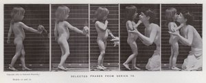 De menselijke figuur in beweging: Geselecteerde fasen uit serie 79 door Eadweard Muybridge