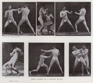 Het menselijk lichaam in beweging: Enkele fasen van een bokswedstrijd (zwart-wit foto) door Eadweard Muybridge