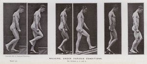 De menselijke figuur in beweging: Lopen, onder verschillende omstandigheden door Eadweard Muybridge