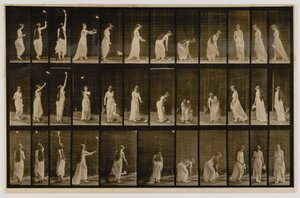 Vrouw gooit zakdoek in de lucht, raapt hem op, uit het boek Animal Locomotion door Eadweard Muybridge