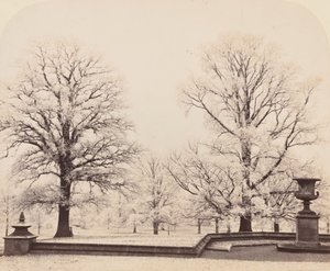 Rijp, een Parkscène, 1862 door Earl of Caithness James Sinclair