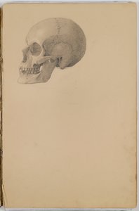 Anatomie Schetsboek, 1849 door Eastman Johnson