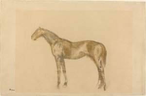 Paard, ca. 1890