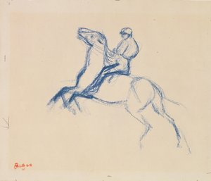 Jockey te paard