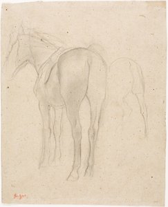 Studies van een Paard